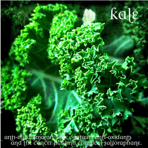 COOKING WITH KALE