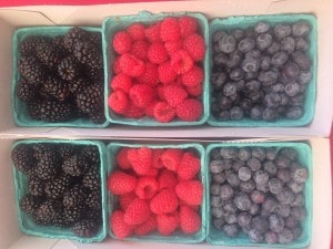 Berries are part of the MIND diet- part of a new diet that may prevent cognitive decline.