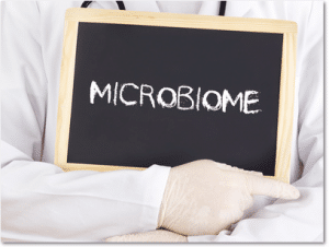 Microbiome Gut Health www.EmmaFogt.com