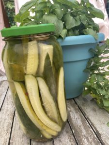 Pickled Cucumbers